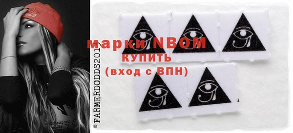 стаф Алексин