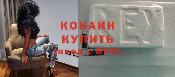 стаф Алексин