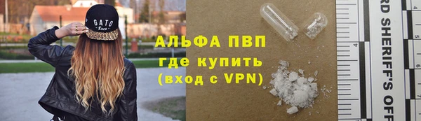 стаф Алексин