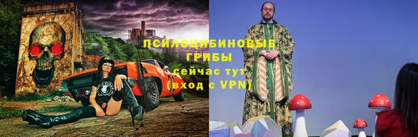 соль ск Алзамай