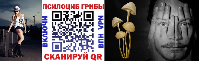 купить наркоту  OMG маркетплейс  Галлюциногенные грибы Magic Shrooms  Джанкой 