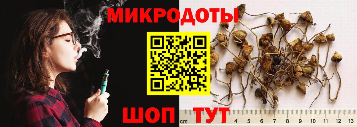 Псилоцибиновые грибы мухоморы Джанкой